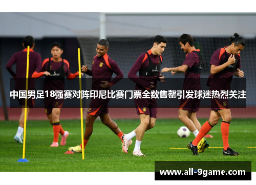 中国男足18强赛对阵印尼比赛门票全数售罄引发球迷热烈关注