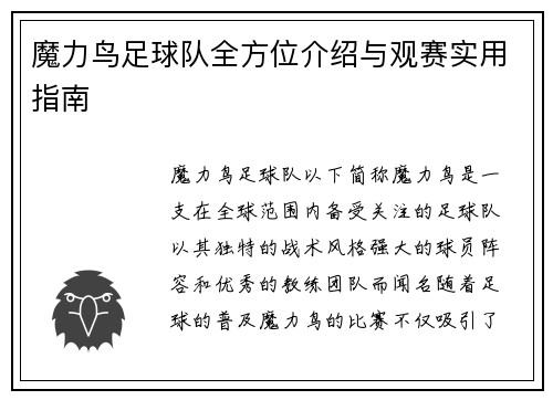 魔力鸟足球队全方位介绍与观赛实用指南 魔力鸟足球队全方位介绍与观赛实用指南